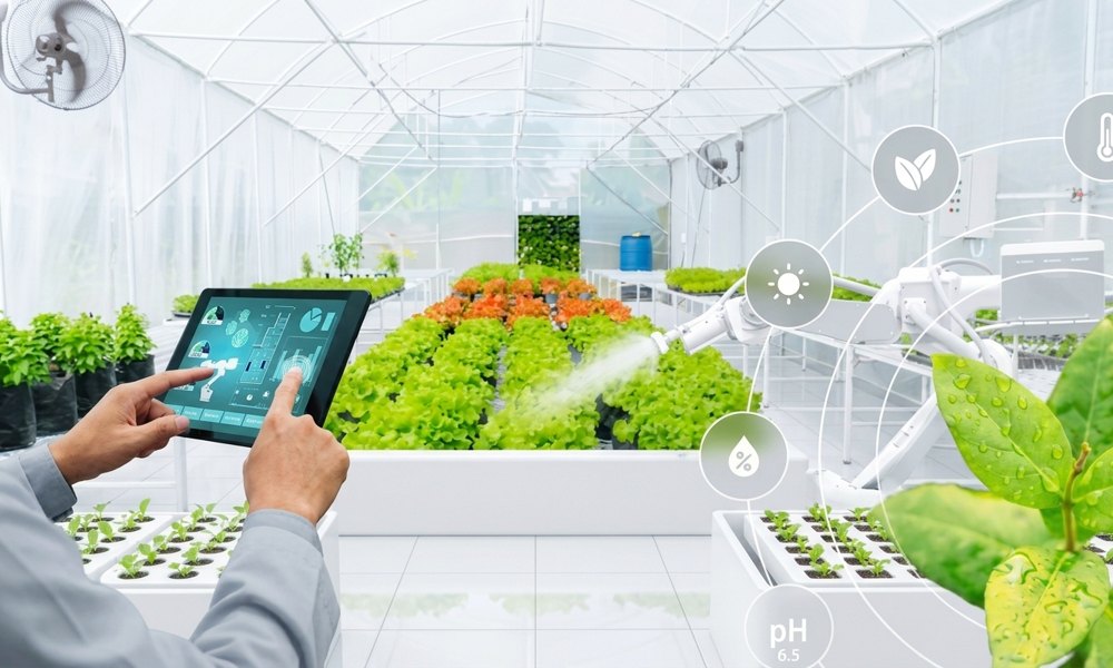 Person using a tablet inside a greenhouse with rows of leafy crops